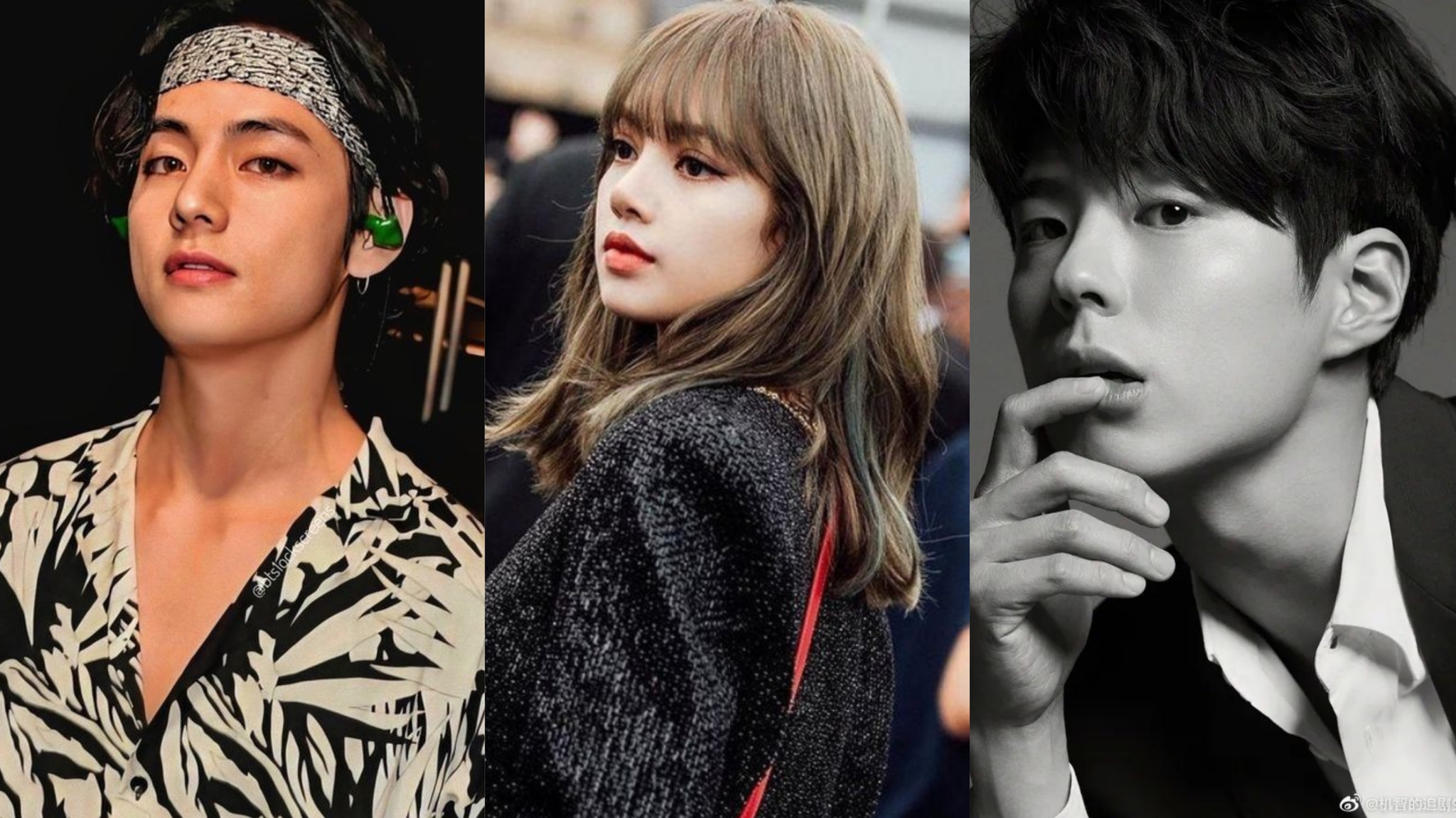 Lisa Blackpunk, Park Bo Gum and V BTS