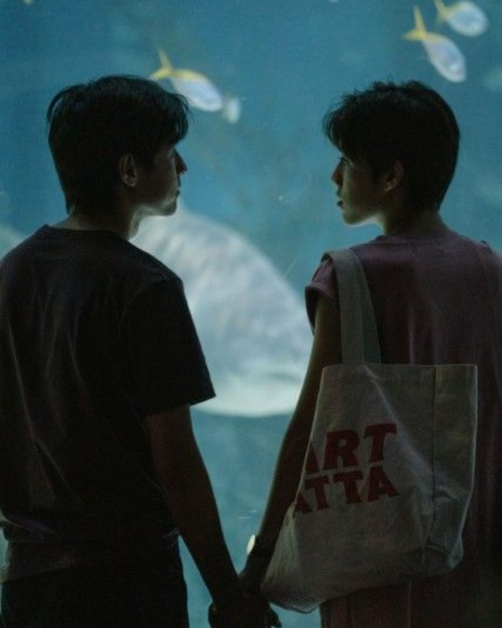 บิวกิ้น พีพี