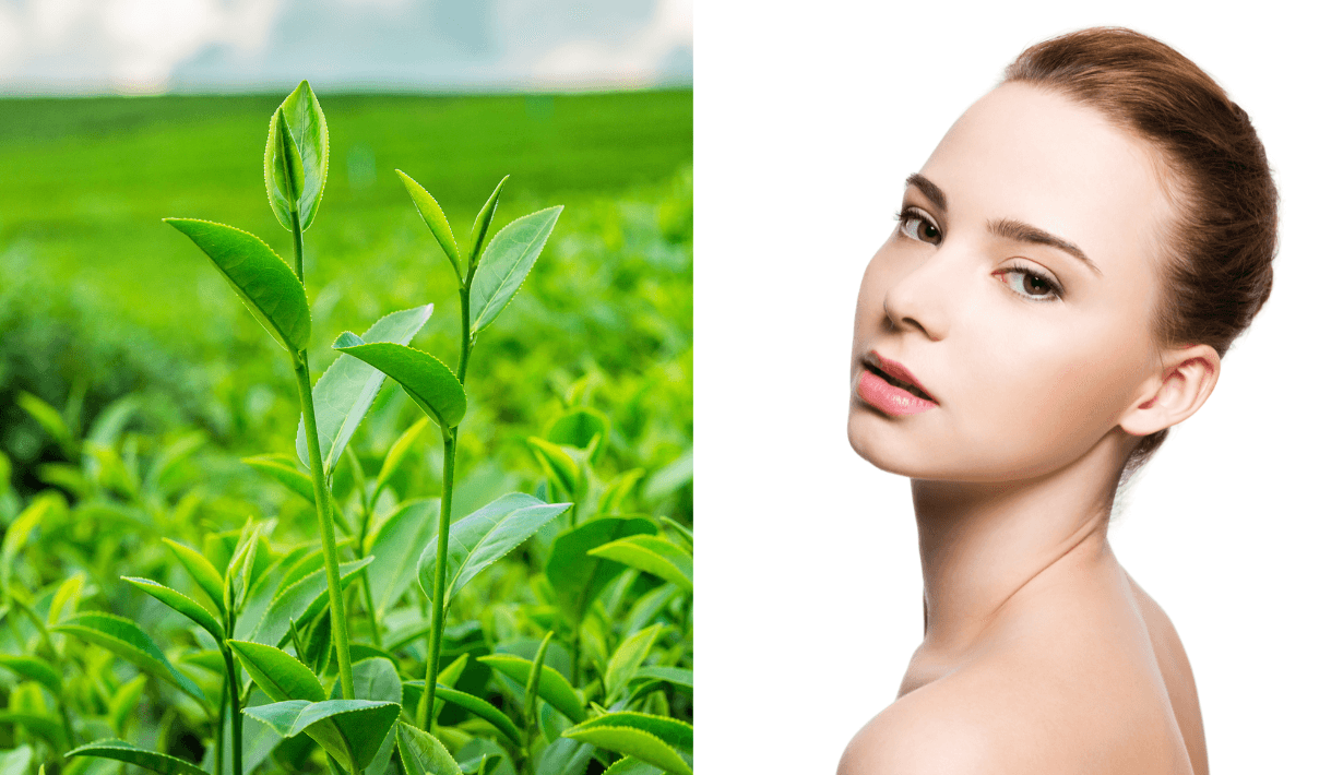 Vogue Beauty Thailand