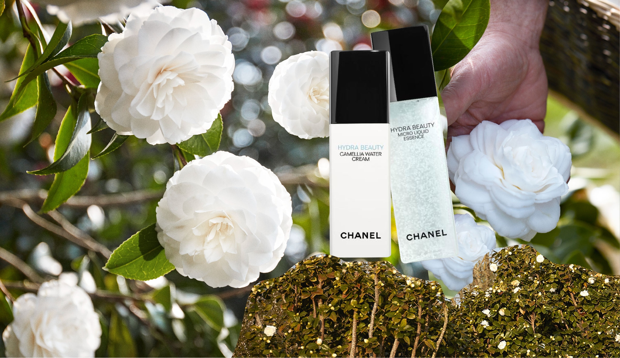 Vogue Beauty Thailand