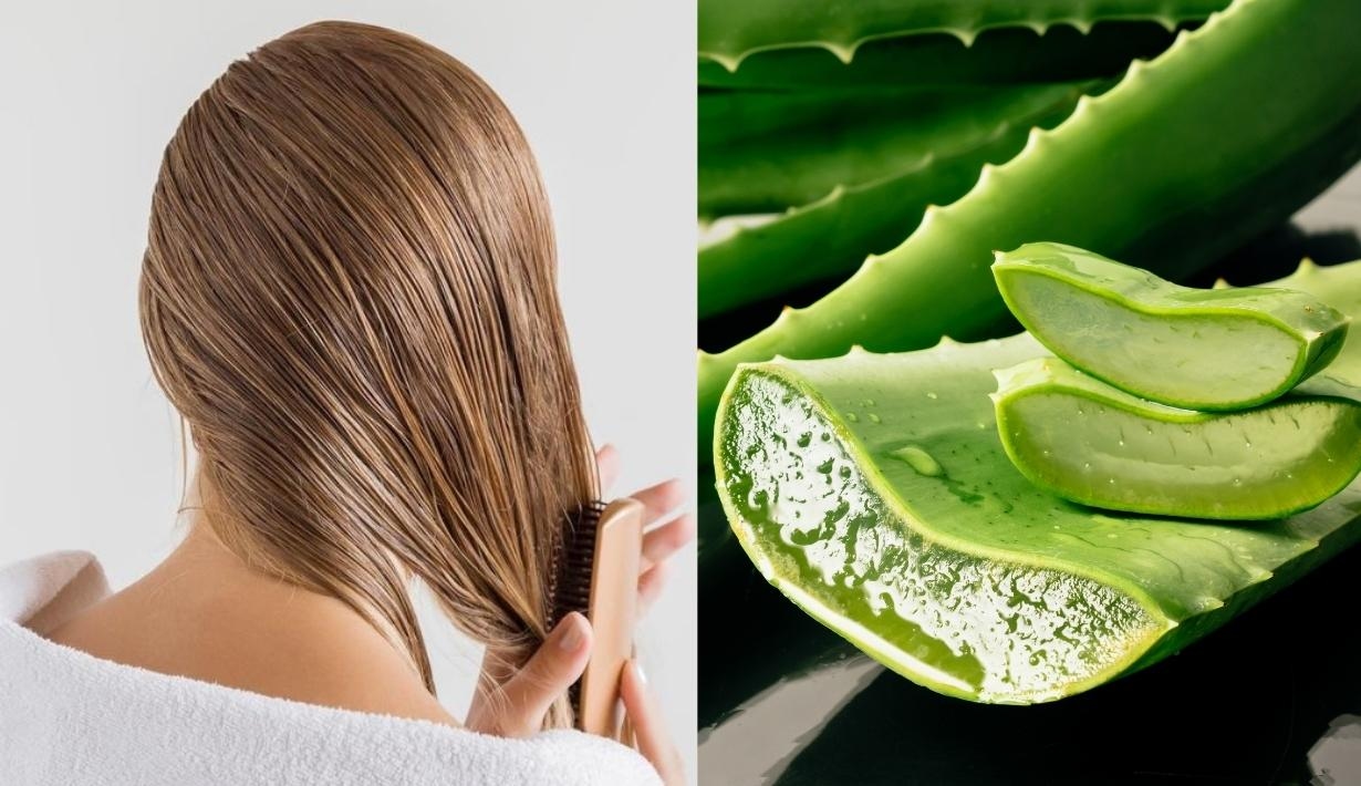 aloevera shampoo