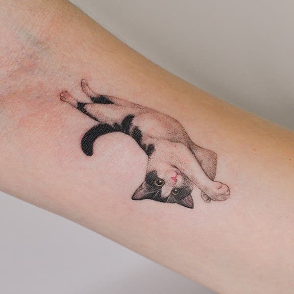 รอยสักแมว