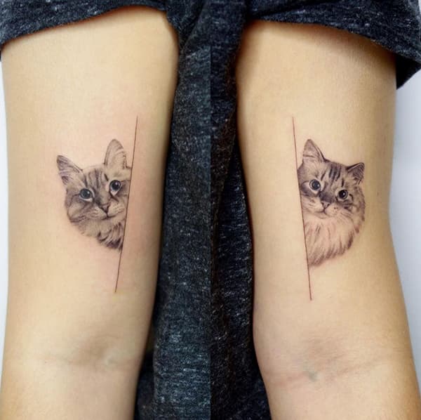 รอยสักแมว