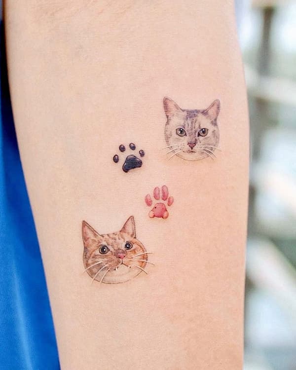 รอยสักแมว