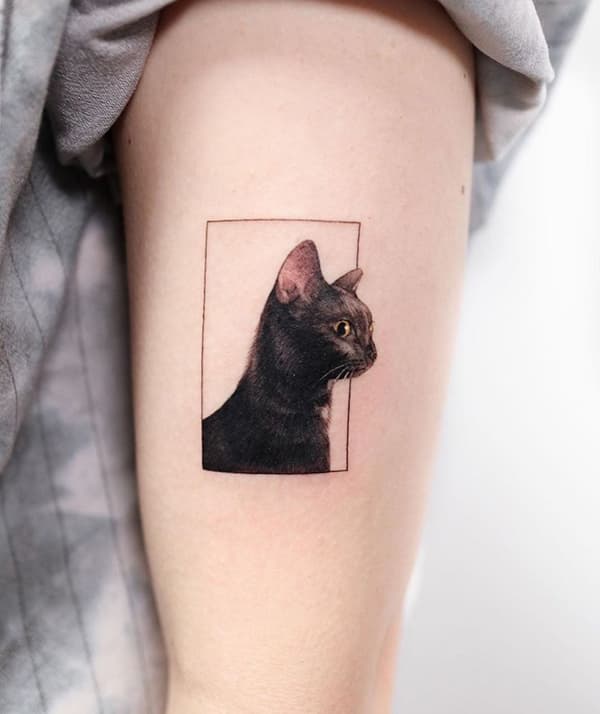 รอยสักแมว