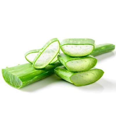 ว่านหางจระเข้