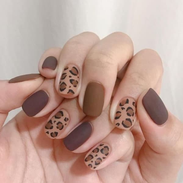 เล็บลายเสือ