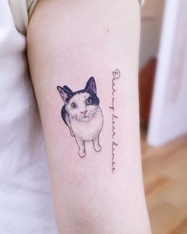 รอยสักแมว