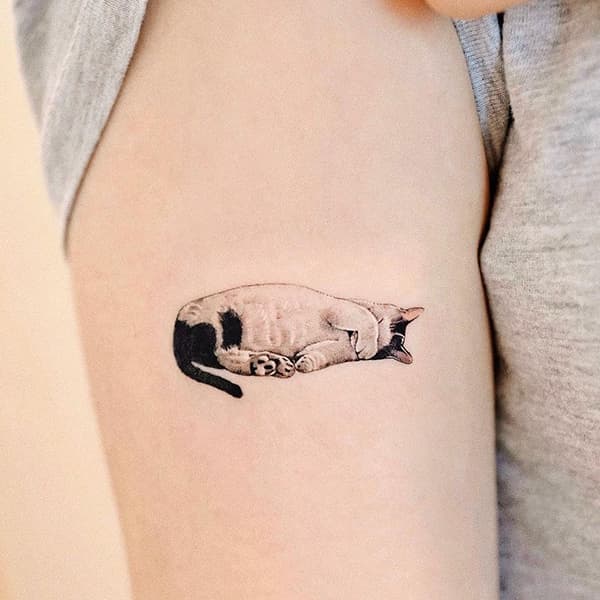 รอยสักแมว