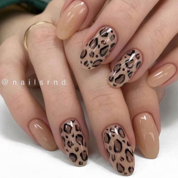 เล็บลายเสือ