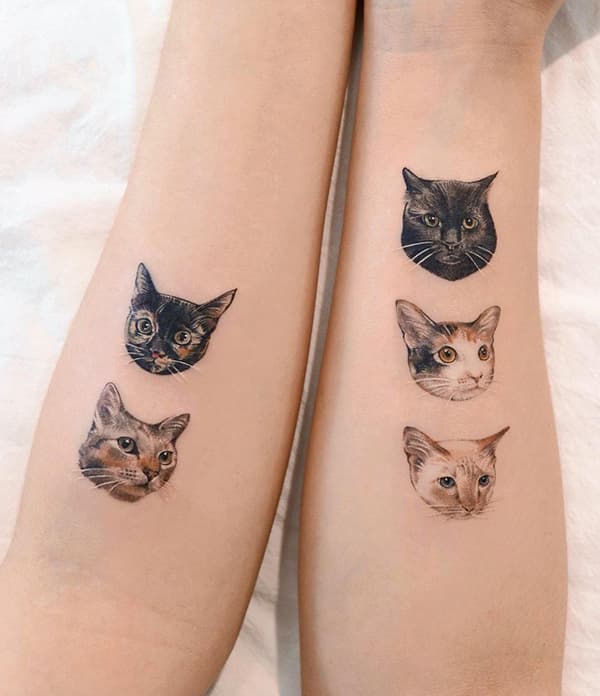 รอยสักแมว