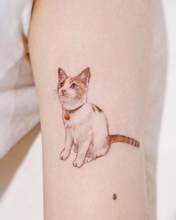 รอยสักแมว