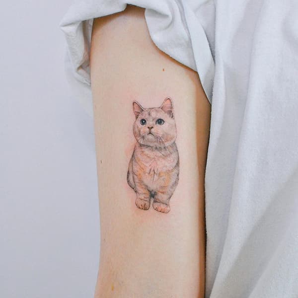 รอยสักแมว