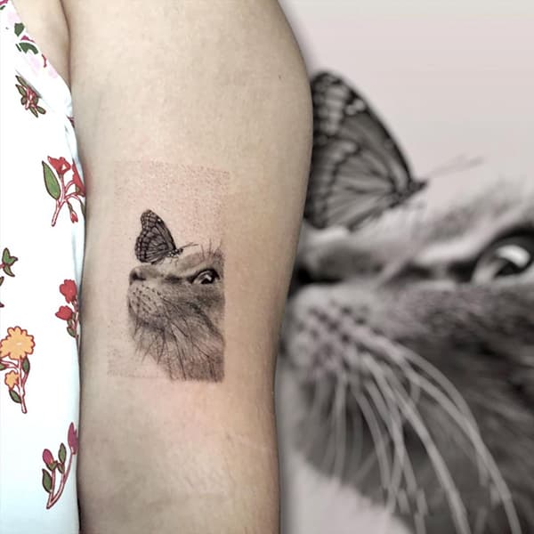 รอยสักแมว