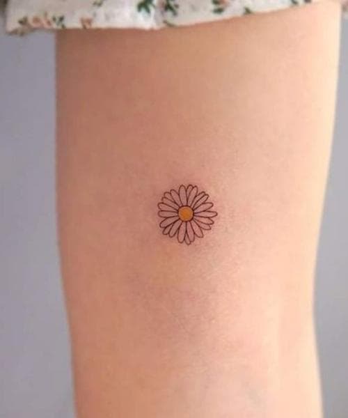 ลายสักดอกไม้ ดอกเดซี่