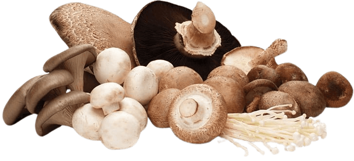 ผัก โปรตีนสูง, ผัก โปรตีนสูง