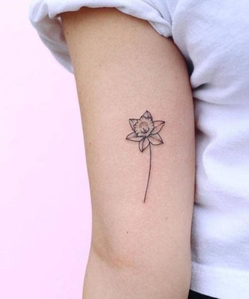 ลายสักดอกไม้ ดอกแดฟโฟดิล