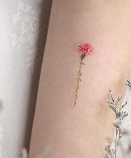 ลายสักดอกไม้ ดอกคาร์เนชั่น