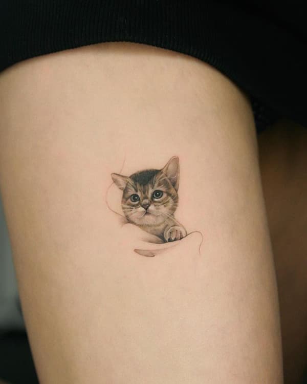 รอยสักแมว