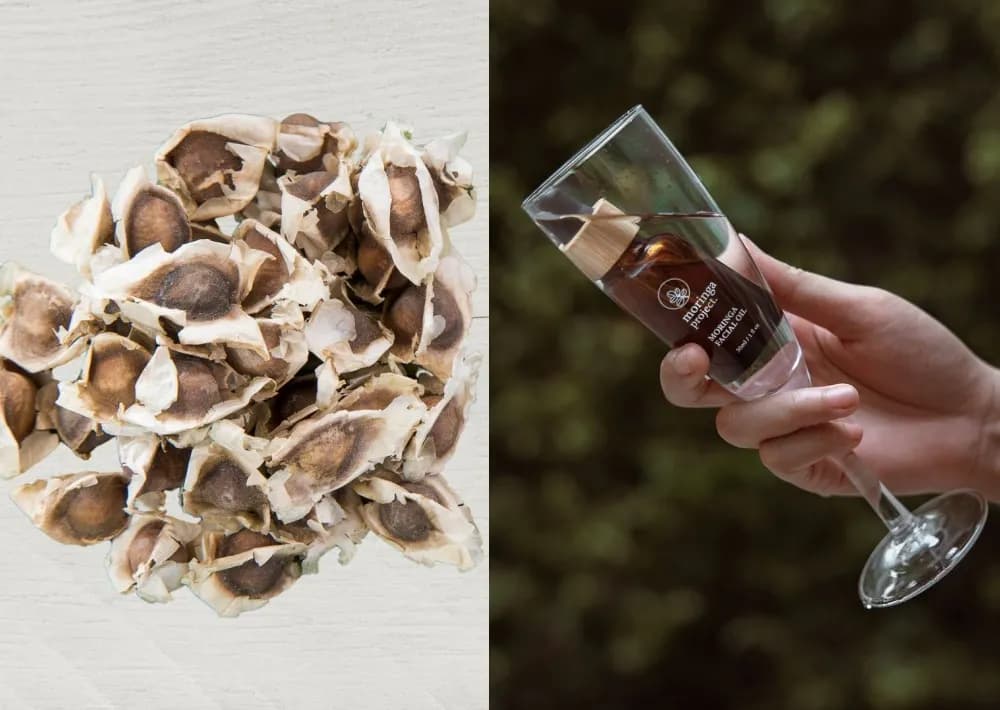 Moringa Project สกินแคร์แบรนด์ไทย